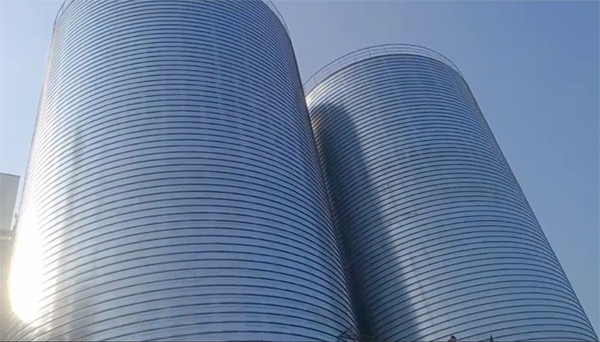 中原2座混凝土高架卷板仓